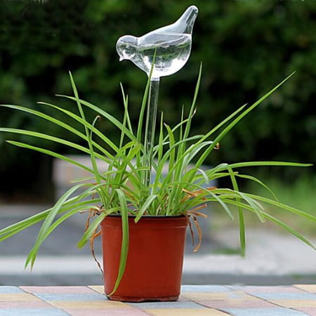 Glass Plant Flowers Water Feeder Self Watering Bird Plant Waterer