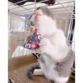 thumbnail image 4 of Cat Catnip Toy Hanging Japanese Sachet Cat Chew Catnip Cat Chew Toy for Cage, 4 of 10