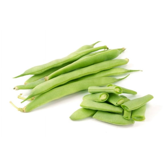 SEEDS = = 25 Premium Hard to find Garden Vegetable Seeds! Kwintus Pole Flat Green Bean Seeds! Romano Italian Style Bean Gourmet Flavor Early Riser