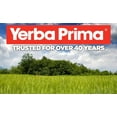 thumbnail image 4 of Yerba Prima Odor Cleanse - 50 Capsules - Premium Extract, 4 of 6