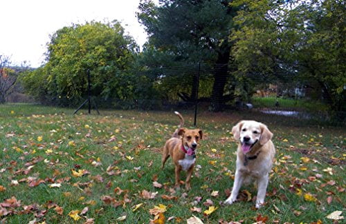 walmart pet containment