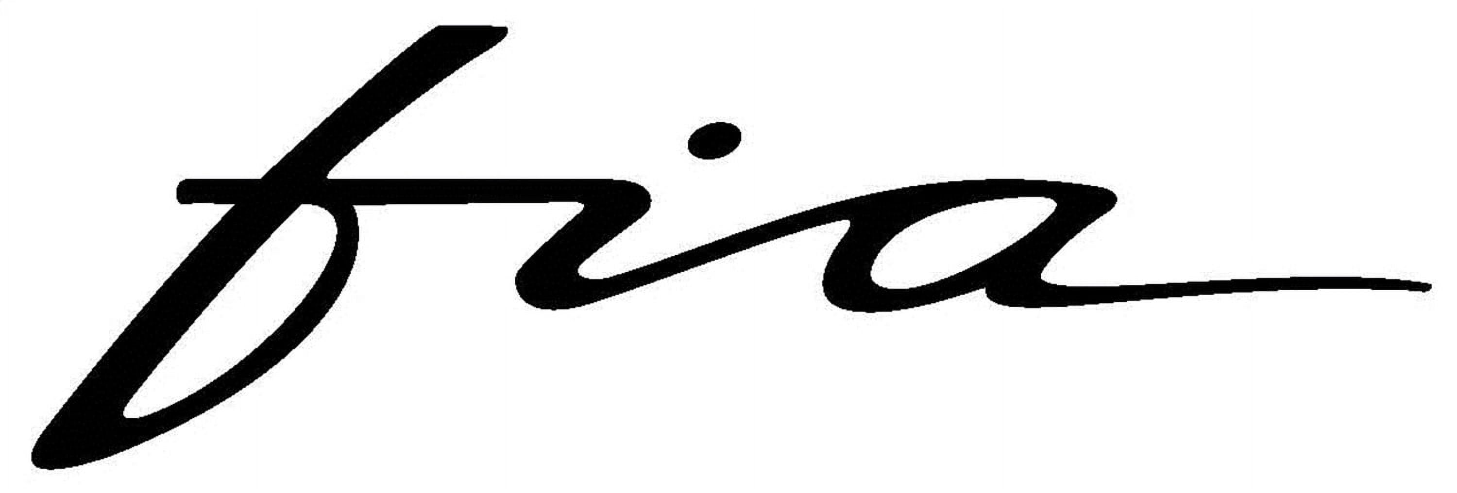 Fia Inc. GS903-13 FIAGS903-13 09-12 RAM 1500 GS900 SERIES GRILL BUG SCREEN