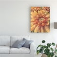 thumbnail image 3 of Trademark Fine Art 'Nature Delight II' Canvas Art by Danhui Nai, 3 of 3