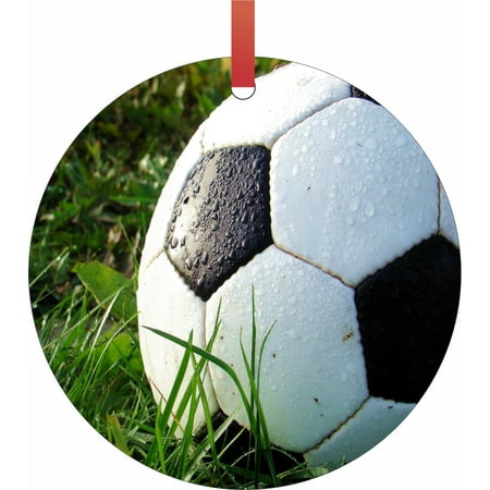 Yard Ornaments Wet Soccer Ball in the Grass Semigloss Flat Round Shaped Ornament Xmas Tree Christmas Décor - Christmas Room Décor and Ornament Yard Decorations ()