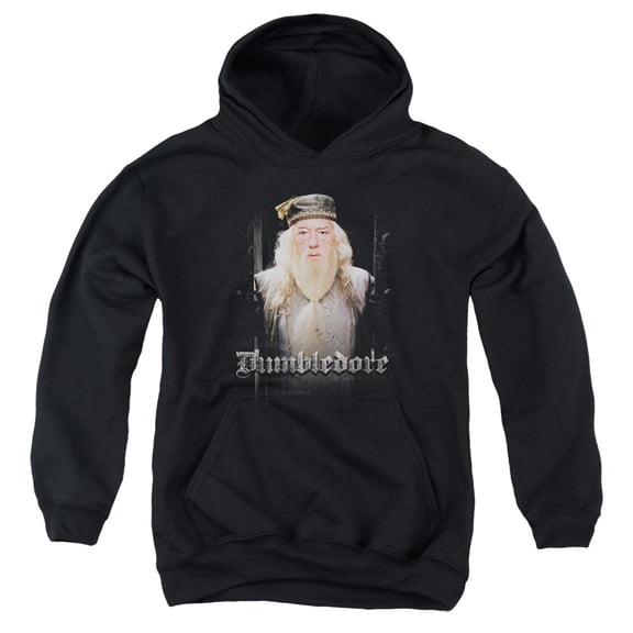 Harry Potter - Dumble Doors - Youth Hooded Sweatshirt - Small