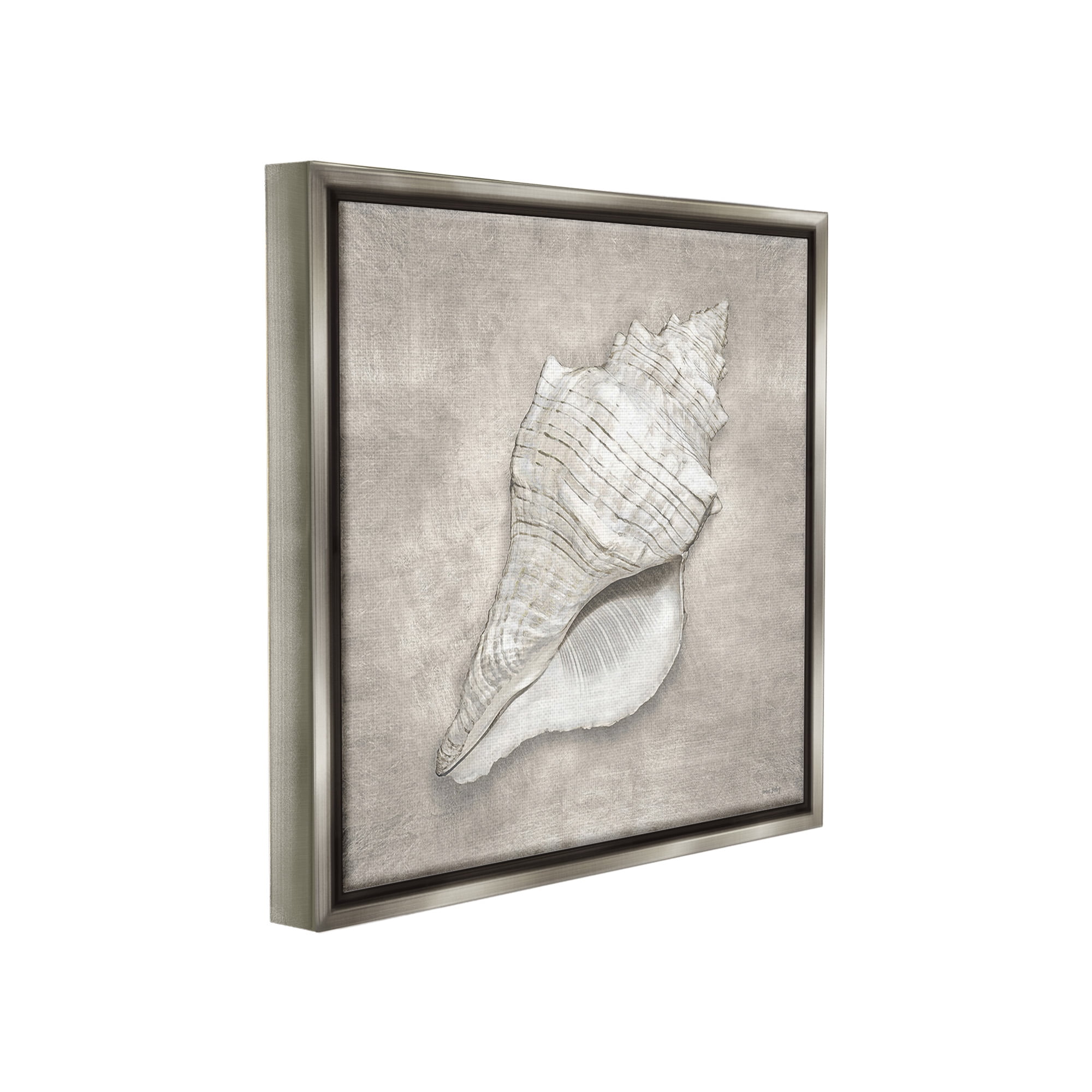 Stupell Industries Rustic Grey Conch Shell Nature Painting Gray Floater Framed Canvas Art Print Wall Art, 18 x 18