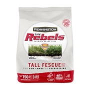 Pennington Rebels Tall Fescue Grass Seed, for Sun to Partial Shade, 3 lb.