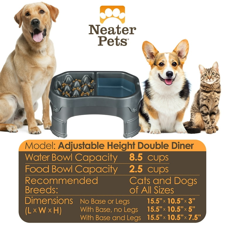 Neater Pet Brands Raised Neater Slow Feeder Double Diner
