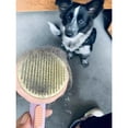 thumbnail image 4 of PEACNNG Pet hair brush, Cat grooming brush Dog hair brush pet grooming self cleaning slicker brush for dogs cats puppy rabbit, Cat brush grooming gently removes loose undercoat., 4 of 5