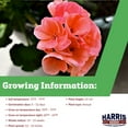 thumbnail image 4 of Harris Seeds Geranium Seeds for Planting - Maverick Salmon - 100 Seeds, 4 of 7