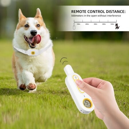 Dog collar outlet distance control