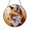 Acrylic 3.5 Inch, variant on Vibrant Woodland Fox Stained Glass Suncatcher, Home Window Decor, Gift for Nature Fans