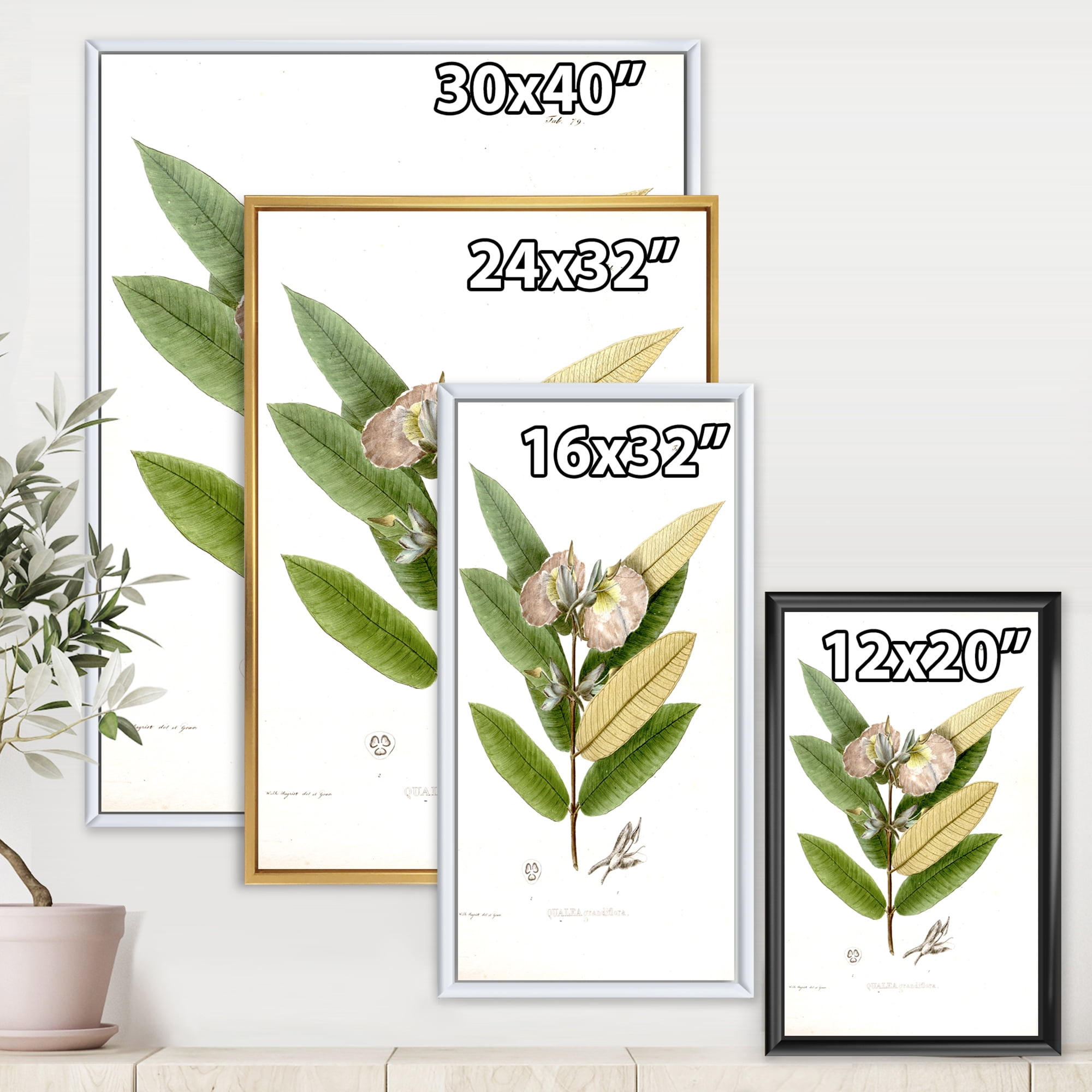 Designart 'Ancient Blossoming Flower II' Traditional Framed Canvas Wall Art Print