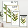 thumbnail image 4 of Ancient Blossoming Flower II 12 in x 20 in Framed Painting Canvas Art Print, by Designart, 4 of 5