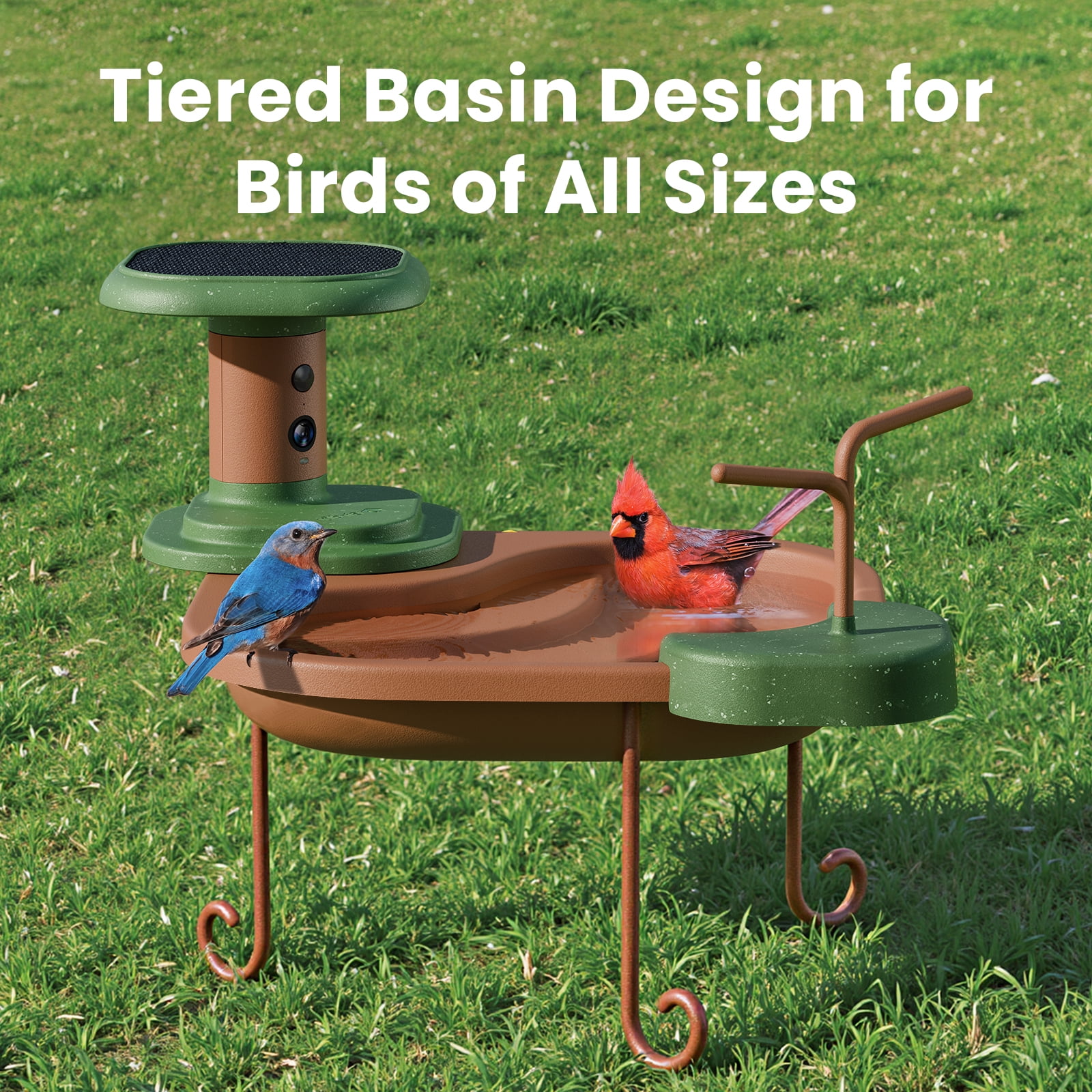 Birdfy Smart Bird Bath with Camera Solar Powered, AI Identify, Live View, Instant Notify, Ideal Gift for Bird Lovers