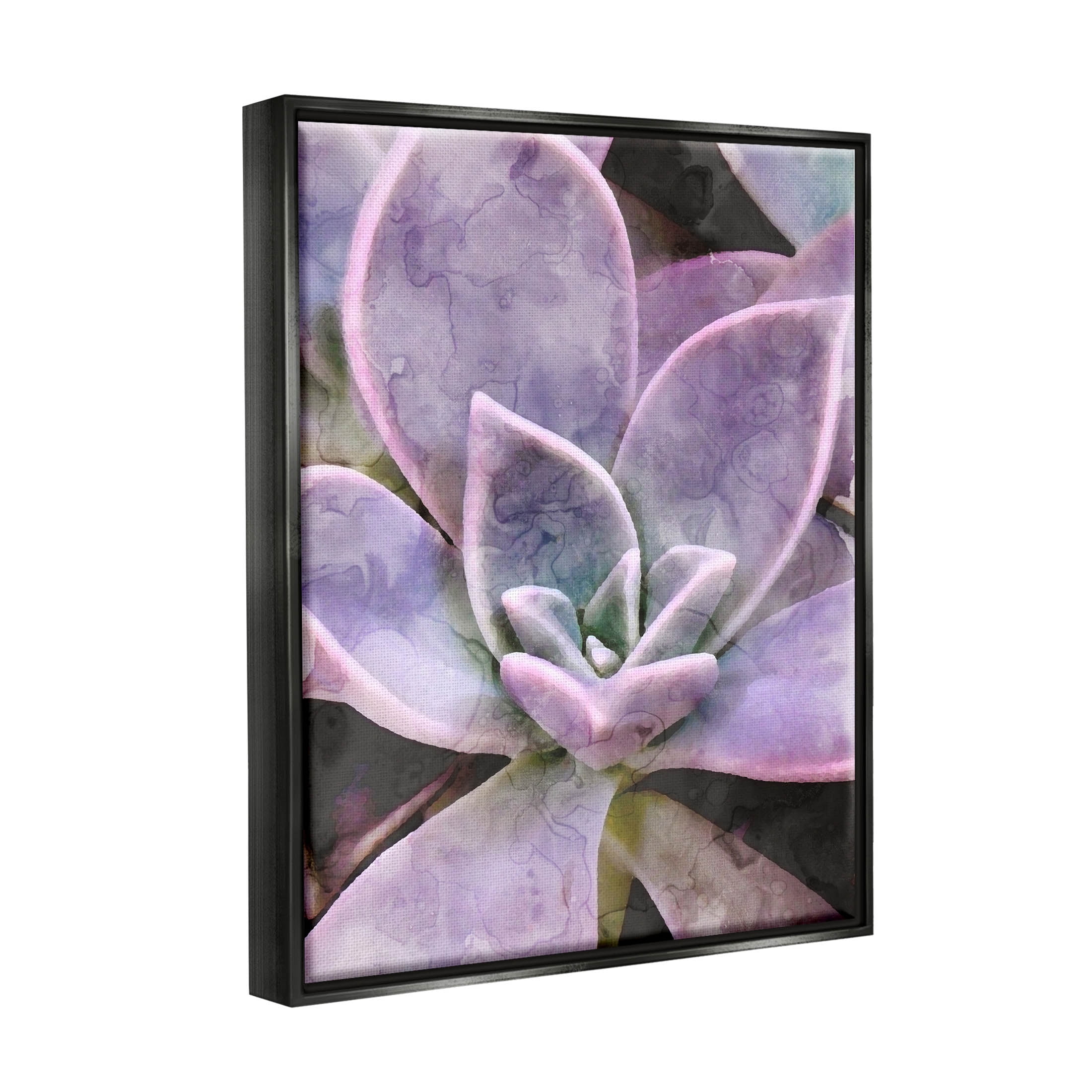 Purple Succulent Close Up Botanical & Floral Graphic Art Jet Black Framed Art Print Wall Art