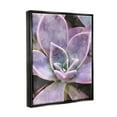 thumbnail image 3 of Purple Succulent Close Up Botanical & Floral Graphic Art Jet Black Framed Art Print Wall Art, 3 of 6