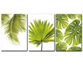 thumbnail image 3 of Wekity Juego de 3 impresiones artísticas botánicas de hojas tropicales, decoración de lienzo, hoja de planta, decoración de pared bohemia, imágenes verdes, carteles bohemios, juego de arte p, 3 of 3