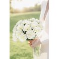 thumbnail image 6 of 16PCS White Carnations Artificial Flowers 14.8'' Fake Carnation Silk Flowers with Stems Faux Carnations Flowers for Home Table Centerpiece Wedding Decor Floral Arrangements (Ivory White), 6 of 14
