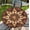 Mandala Brown, variant on Round Fitted Tablecloth with Elastic Edge, Stain Resistant Waterproof Fabric Table Cover for 49"-52" Round Table, Indoor Outdoor Dining, Kitchen Decor, Camping, Holiday, Party, Mandala Brown