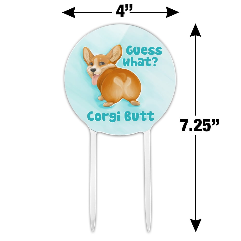 corgi butt birthday