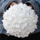 thumbnail image 3 of Ramos de boda para novia blanco, ramo de boda dama de honor, dama de honor sosteniendo flores para decoración de boda (marfil+blanco), 3 of 5