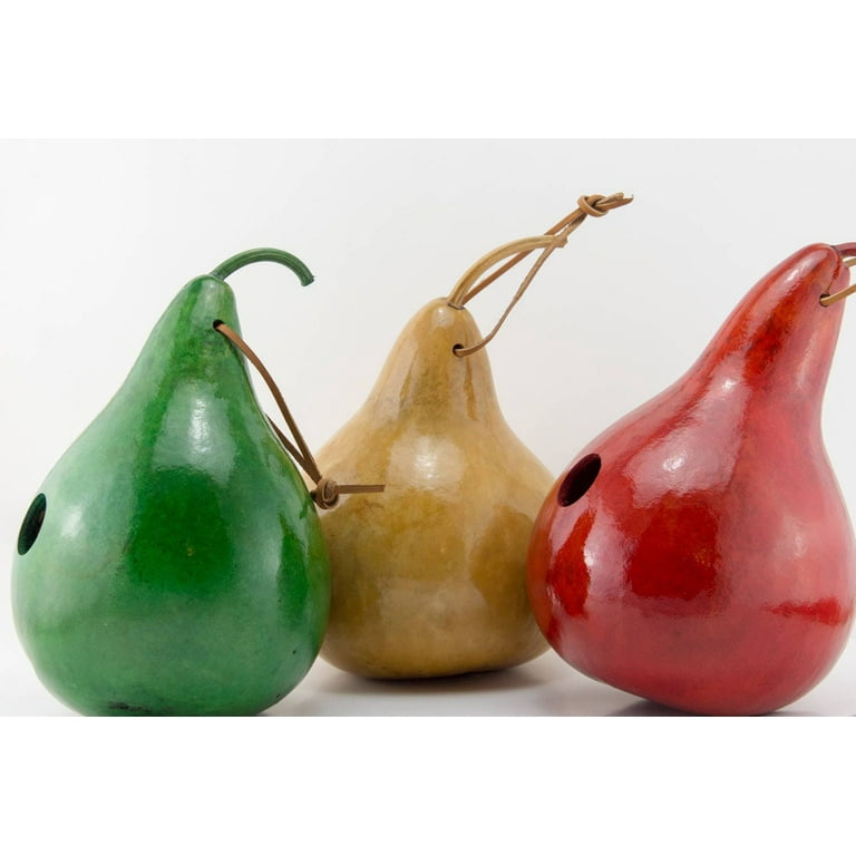 Birdhouse Gourds - Gourd Art - Set of 3 - Green - Natural - Red 