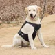 thumbnail image 4 of Arneses Conjunto 3 Chalecos Tácticos Caza Para Perro Grandes, 4 of 8