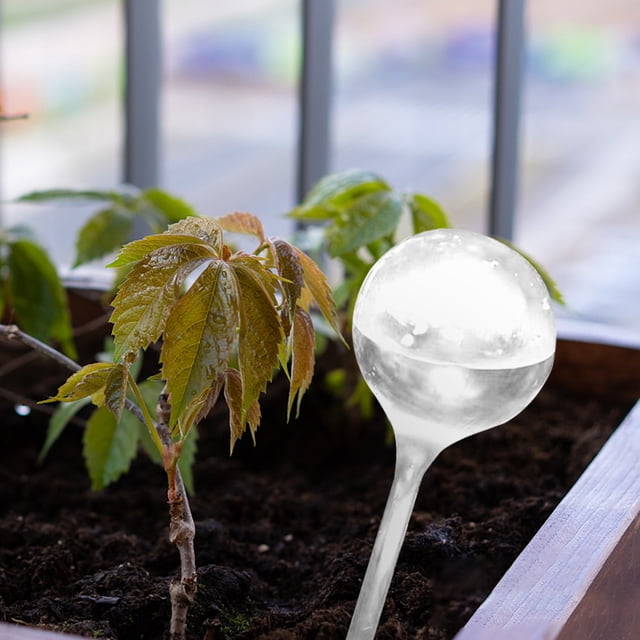 Bebedero de plantas Ehuebsd Riego por goteo en forma de bola transparente PVC para interiores blanco