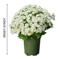 thumbnail image 3 of Daisy Artificial Flowers for Outdoors Fall Autumn Decoration, Look Real Uv Resistant Faux Flowers Plants for Planter Front Door Home Indoor Porch White, 3 of 8