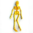 thumbnail image 2 of Poseable Skeleton Fridge Magnet, Halloween Articulated Skeleton with Movable Joints, Skull Refrigerator Sticker for Kitchen, Locker, or Office Décor, 2 of 4