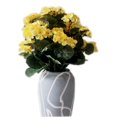 thumbnail image 6 of Artificial Begonia Flowers Silk with Stem and Green Leaves Real Touch Fake Flower Bouquet for Indoor Table Centerpiece Vase Arrangement Wedding Party Garden Porch Patio Decoration, 6 of 6
