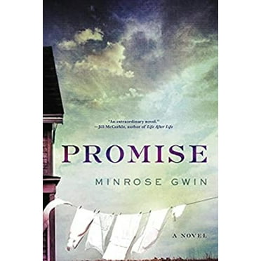 Pre-Owned Promise : A Novel (Hardcover) 9780062471710