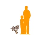 thumbnail image 2 of Standing Siberian Tiger Cub Life Size Statue, 2 of 8