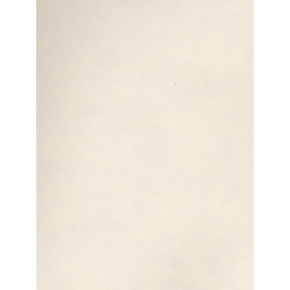 Charcoal Paper white (pack of 25)