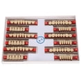 thumbnail image 3 of Dientes postizos de resina,Dientes postizos postizos de resina sintética dental Prótesis dental de resina adaptada para la perfección, 3 of 8