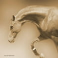 thumbnail image 2 of Brooks, Kari 26x26 White Modern Wood Framed Museum Art Print Titled - Arch Sepia, 2 of 4