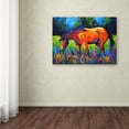 thumbnail image 3 of Trademark Fine Art 'MareII' Canvas Art by Marion Rose, 3 of 3