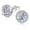 round, variant on 925 Sterling Silver 2-4 Carat Lab Simulation-Diamond Stud Earrings 5A Cubic Zirconia Stud Earrings Hypoallergenic White Gold Plated, Perfect Jewelry Gifts