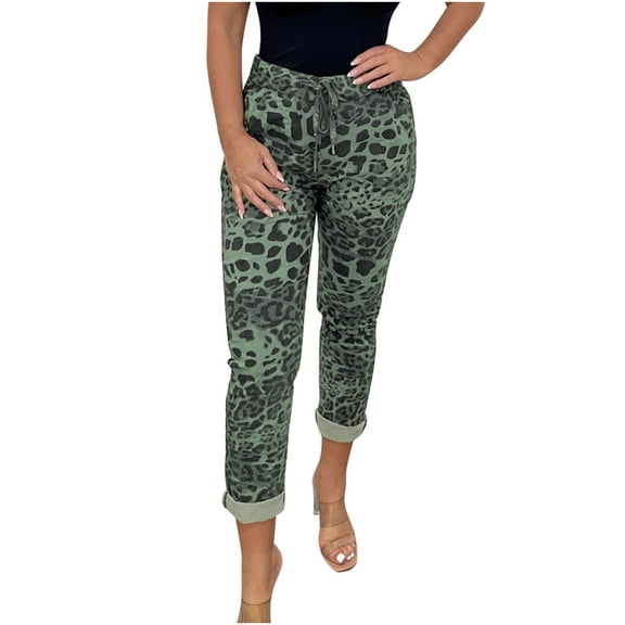 Hxshgdsn Wide Leg Pants for Women Elastic High Waisted Drawstring Smocked Leopard Print Business Work Casual Pants,Green,S