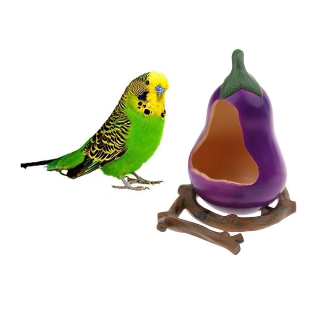 Comedero para loros Salvador 2 uds cuenco de comida para pájaros taza para beber de agua berenjena pimienta