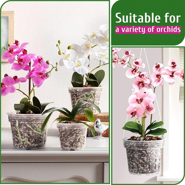 9 Tips For Growing Orchids in Hanging Baskets