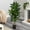 Green, variant on Artificial Dracaena Plant Indoor, 5ft Tall Decorative Fake Tree In Pot With Adjustable Branches And Leaves, Artificial Silk Tree For Living Room Home Office Decor