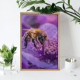 thumbnail image 4 of Diamond Art Kits for Adults, Closeup Honeybee on FlowerDiamond Painting Kits for Beginners, Frameless Round 5D Full Drill Diamonds Art Gem Art Crafts Home Decor Gifts, 4 of 8