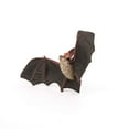 thumbnail image 4 of Papo Bat Figure, Multicolor, 4 of 5