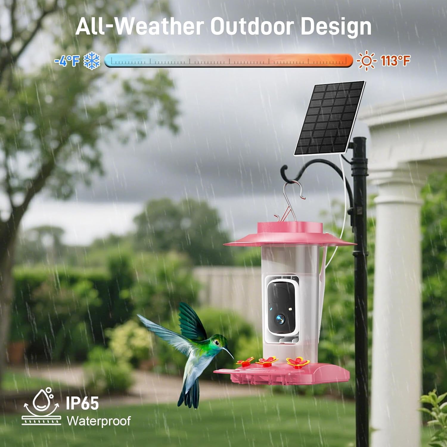 Hummingbird Feeder with Camera Outdoor, SV3C Hanging Bird Feeder with Ant Moat & Bee-Proof, HD 2K Solar Powered, AI Bird Identify, Instant App Alerts, Auto Capture, Hummingbird Lover Gifts, 21oz