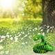 thumbnail image 2 of 3D Printed Animales Set 3D Printed Toys 3D Printed Articulated Flexible Toy 3D Printed Animals Exquisite Cute Pet Toy Adults Toys, 2 of 4