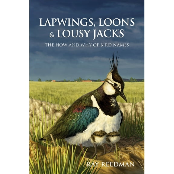 Lapwings, Loons and Lousy Jacks (Hardcover)