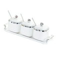 thumbnail image 1 of Lipstore Récipient de Stockage Alimentaire pour Condiments, Pot d'Assaisonnement pour Salon, 3 Pots argent, 1 of 8