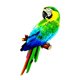 thumbnail image 2 of espuma hecha a mano, modelo de pájaro de imitación de loro Artificial, figurita de pájaros, loro, decoración de jardín para el hogar estilo A Macarena Estatua de loro, 2 of 7